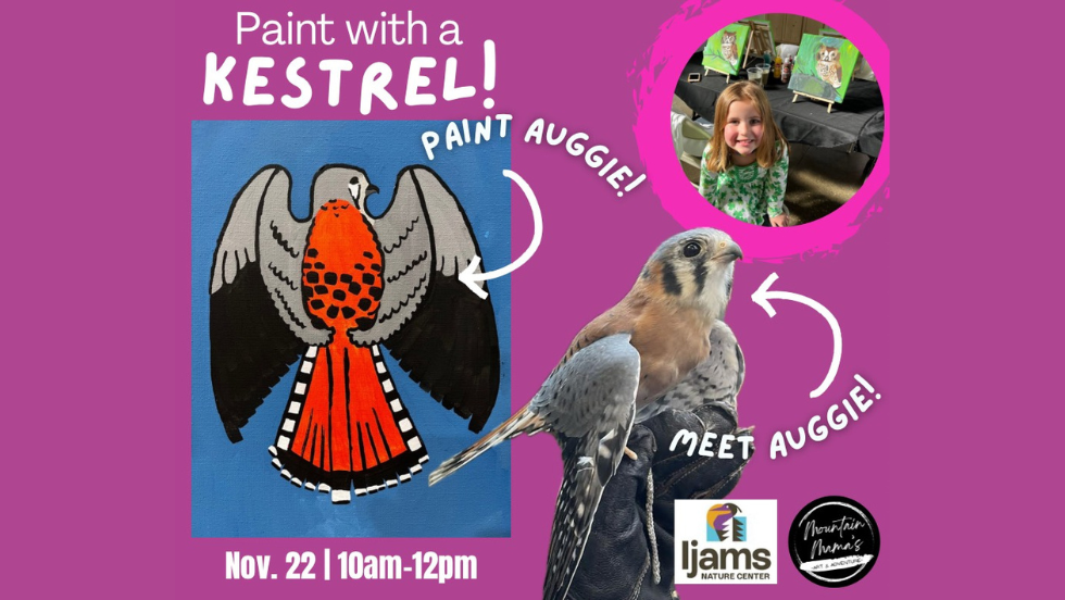 CREATIVE SERIES: Paint with an American Kestrel Workshop