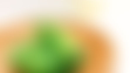 【🌱懶人包】室內種秋葵全紀錄｜45日收成 + 簡易食譜｜水耕都爆收！