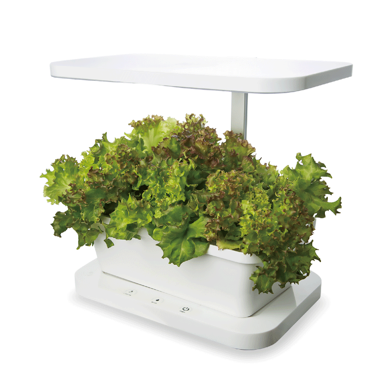 縮圖：KES3.0桌面種植機