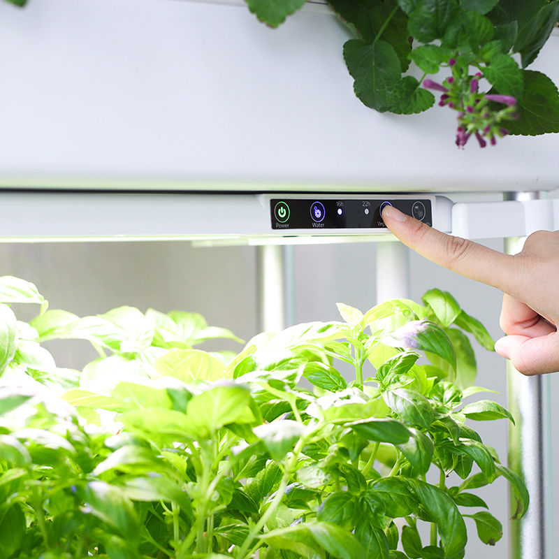 縮圖：GO210P水耕種植架