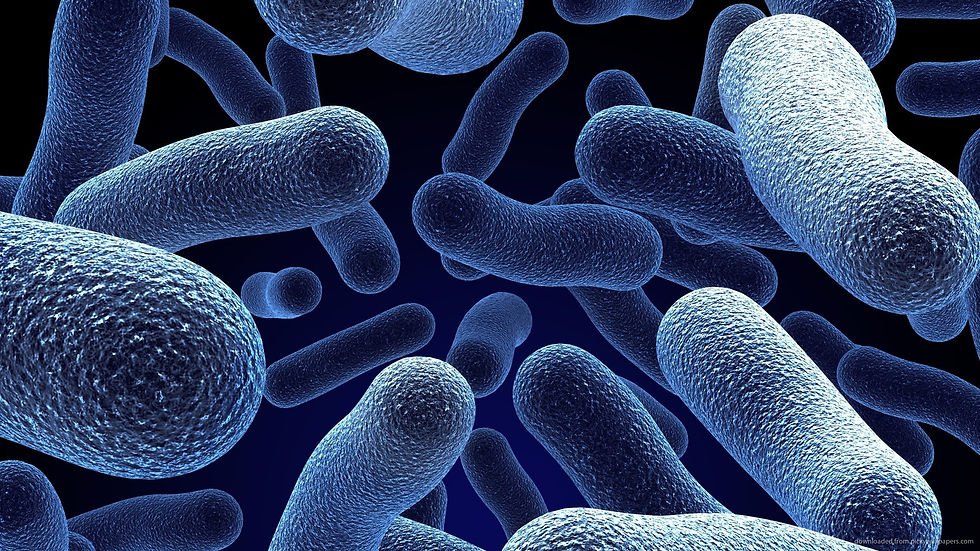 Fighting bacteria