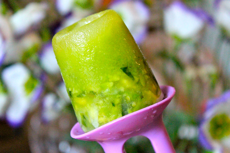 avocado popsicle for kids