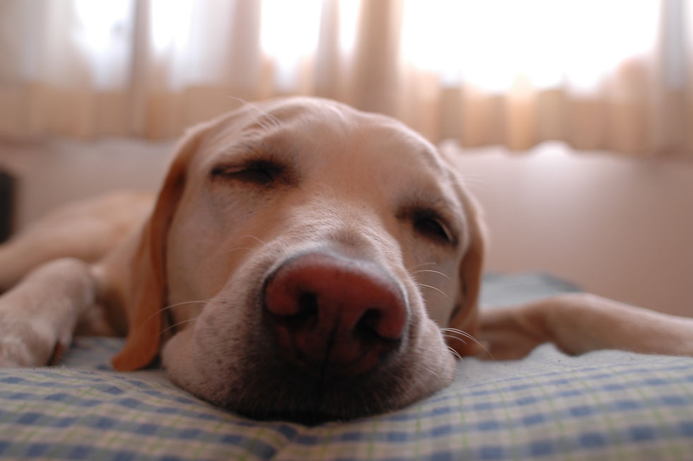 getting good night sleep