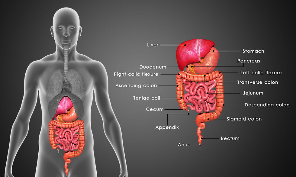 digestive system problems