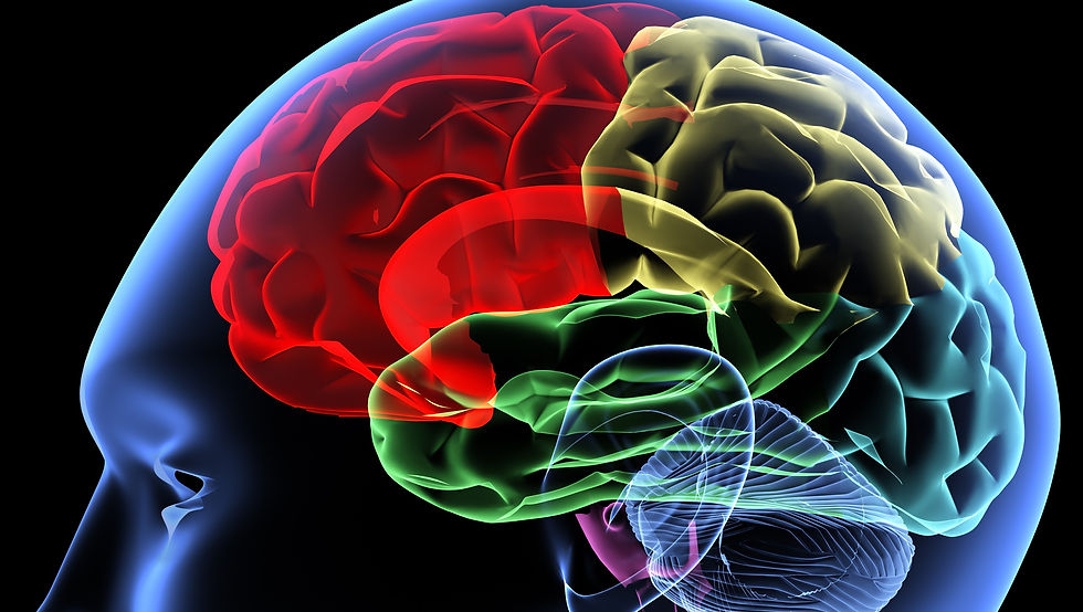 Problems with your brains when having vitamin D deficiency