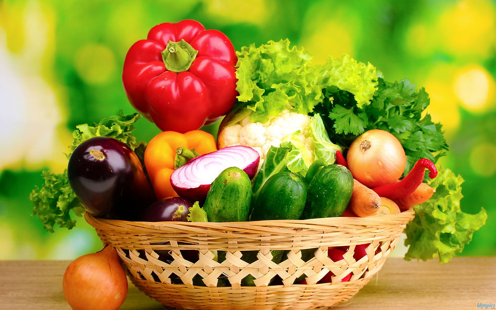 vegetarian diet