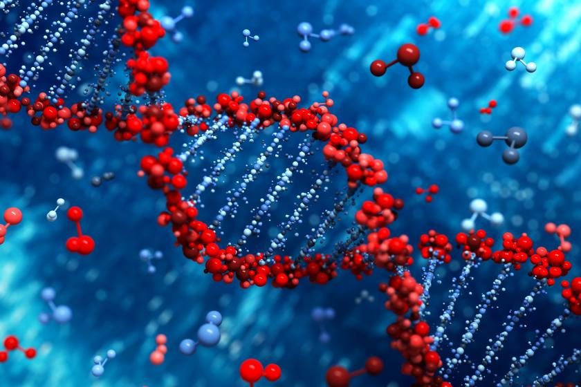 Not so perfect genes DNA