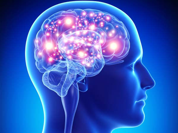 inactive lifestyle promotes brain damage