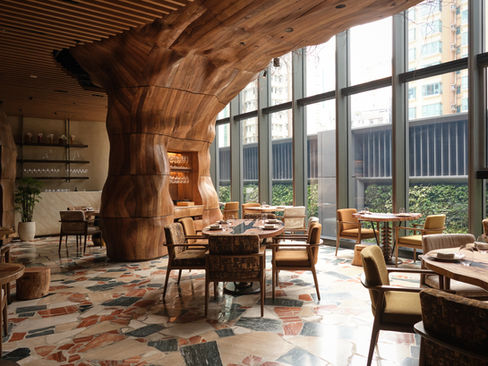 Hong Kong’s Best Farm-to-Table Restaurants: How the City’s Top Chefs Are Rewriting Luxury Through Local Harvests