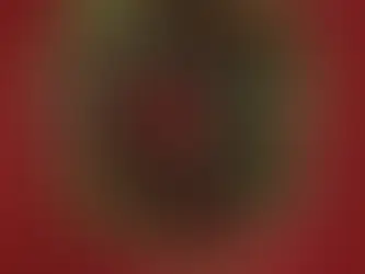 Deck the Halls With Blooms & Blossoms’ Seasonal Wonders