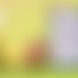 Here Are Hong Kong's Best Homegrown Alcohol Brands