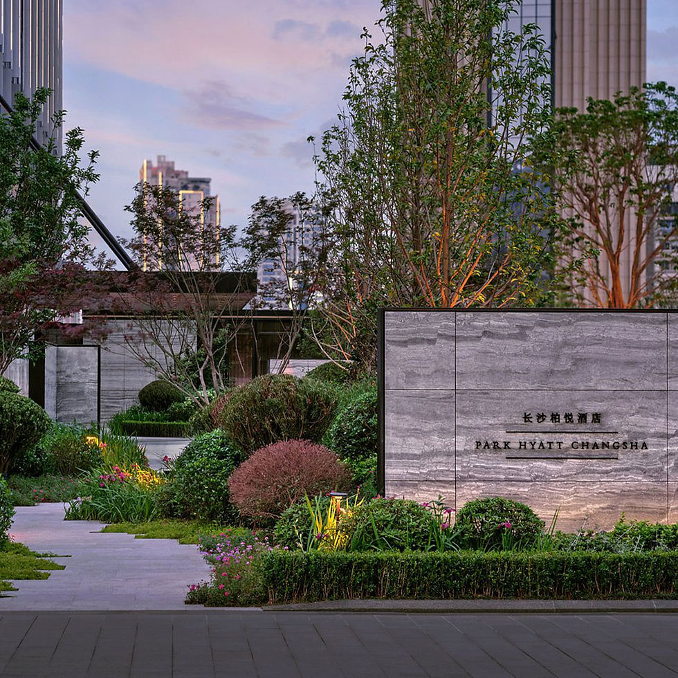 Image courtesy of Park Hyatt Changsha
