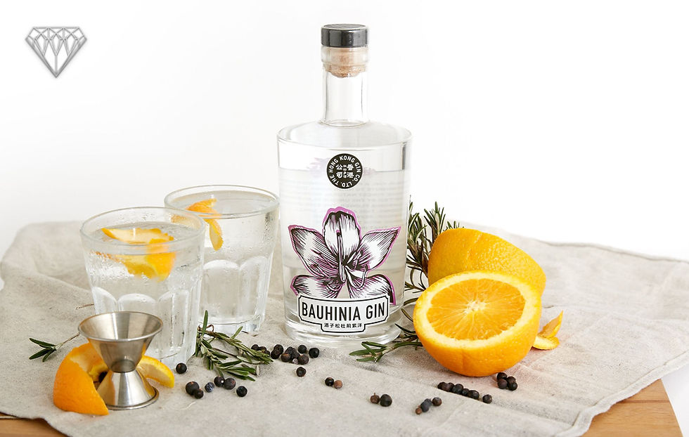 The Best Christmas Gifts For Him bauhinia gin