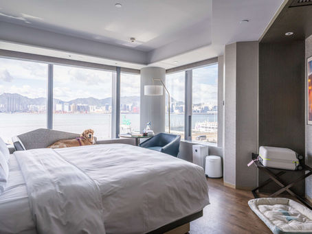 Hyatt Centric Victoria Harbour Hong Kong– a Dog-Friendly Hotel in North Point