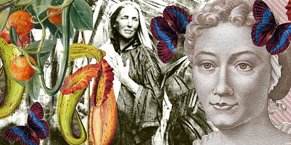 A FEMINIST'S GUIDE TO BOTANY: Online Botanical Painting Session