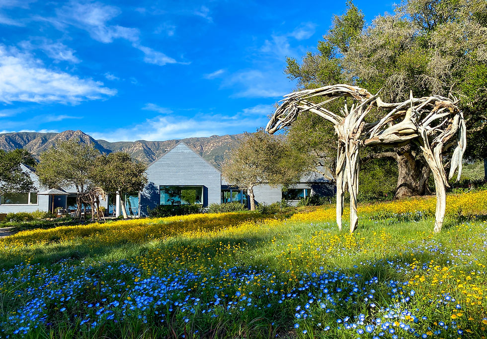 Gabbert (in the meadow) Front Yard_edited.jpg