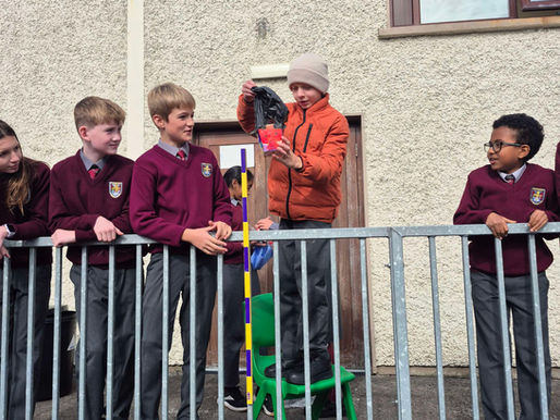 An Eggcellent Eggperiment