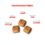 Thumbnail: Royal Canin Persian Kitten