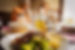 plato comida.jpg
