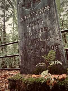 Growth From Death