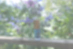 DSC00221_edited.jpg