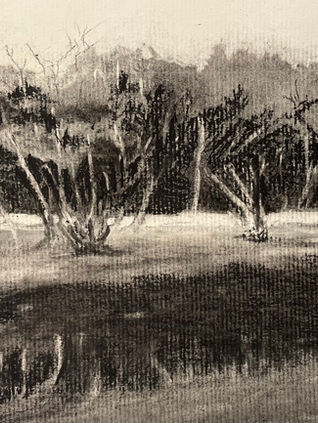 Charcoal landscape