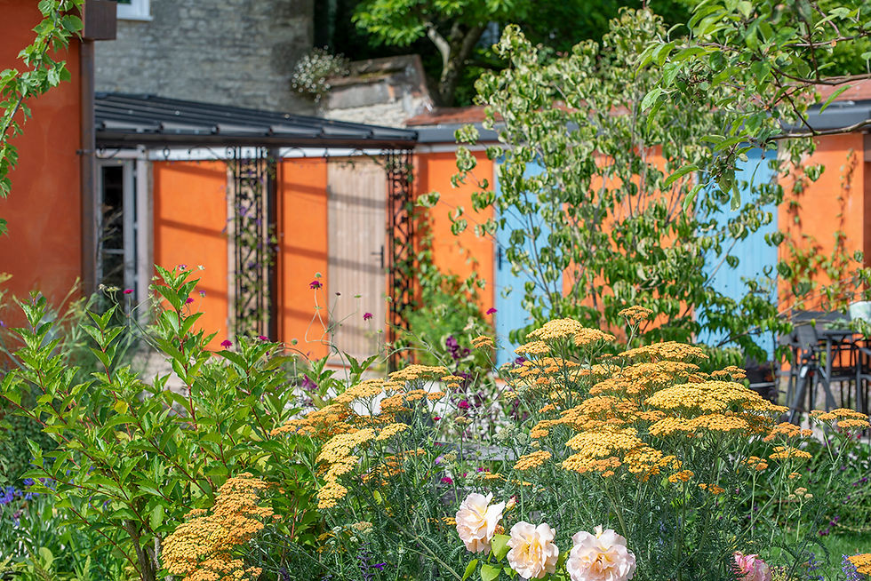 Dorset Garden Design
