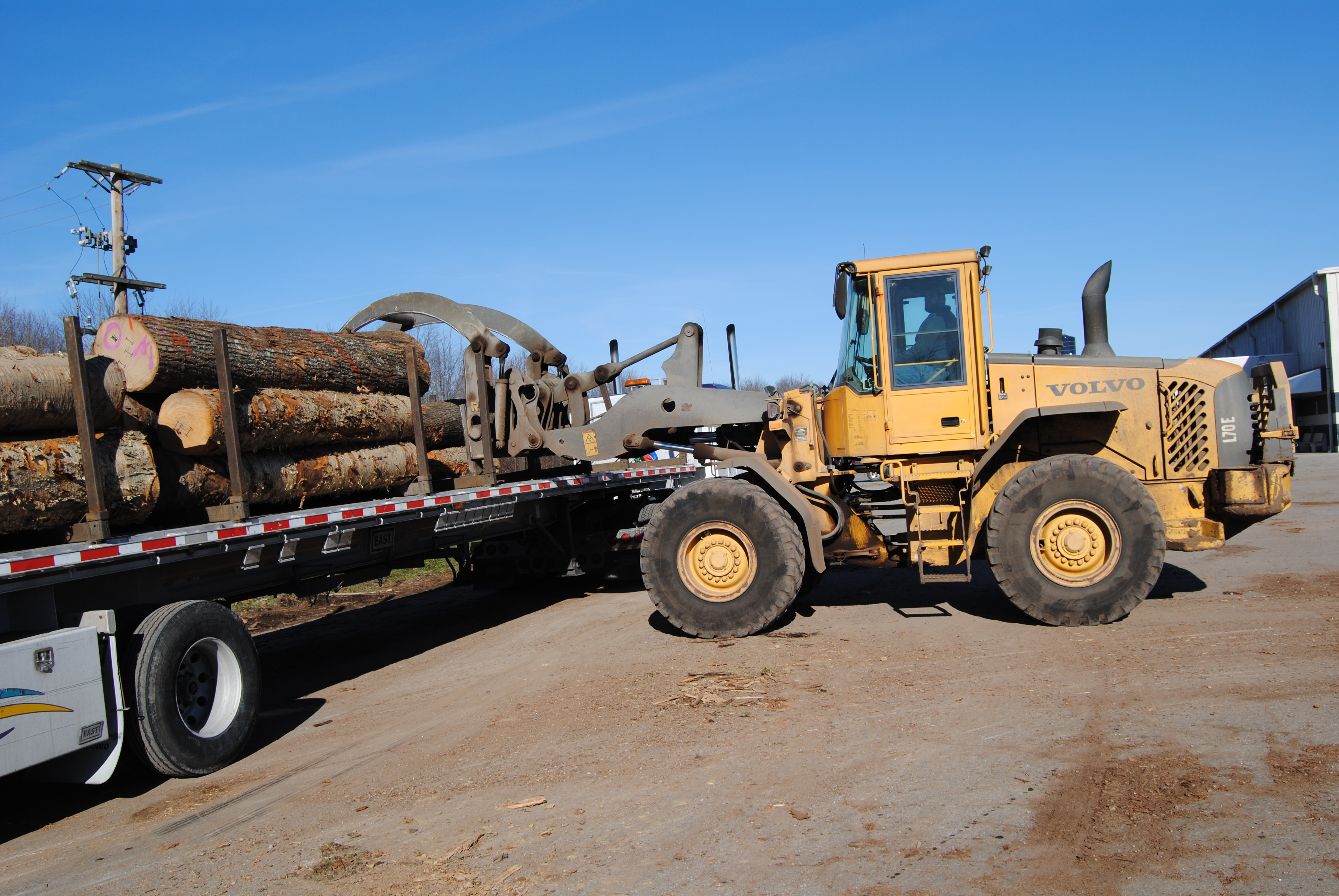 About International Timber and Veneer