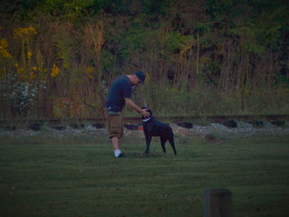 Training is good for everyone!