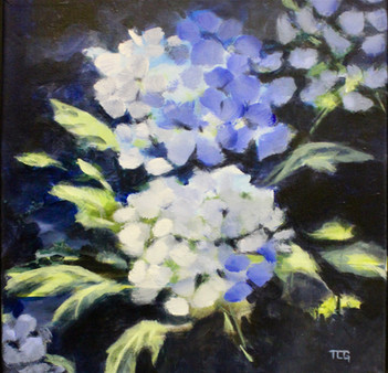 Tracy Gansrow