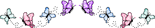 butterflydivider.gif