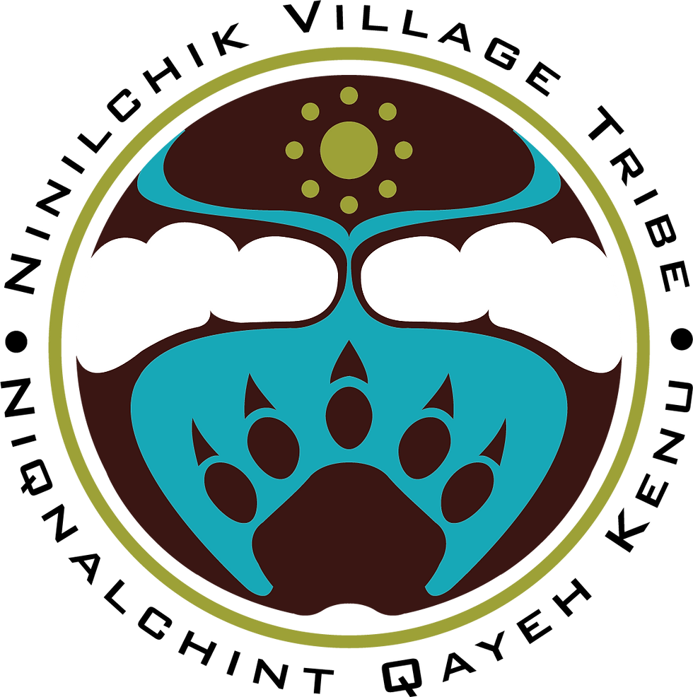 NTC Logo Color.png