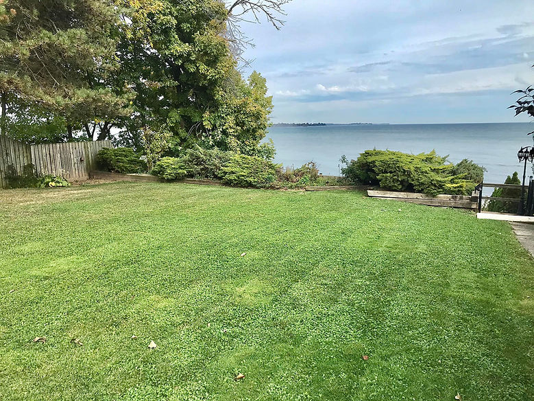 Grass Cuts.jpg