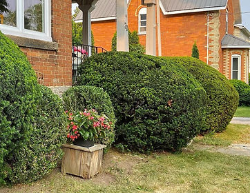 LANDSCAING POST 6_edited.jpg