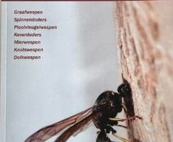 De angeldragende wespen van Noordwest-Europa proeftabel