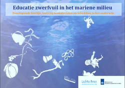 rapport zwerfvuil in zee