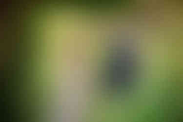 Wedding in Venice, Italy church Dei Miracoli and Cipriani