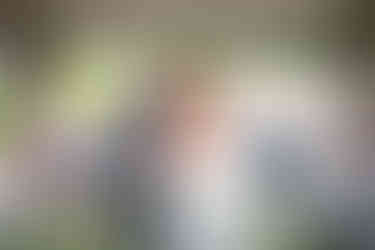 Get married at malcesine lake garda with the best photographer