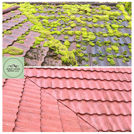 Premium Metal Tile Roof (new logo) .jpg.png