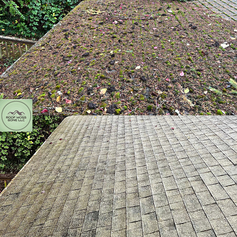 Premium Roof-Gary#2 (new logo) .jpg.png