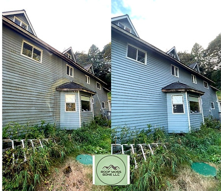 Wix HouseWash page pic_edited.jpg