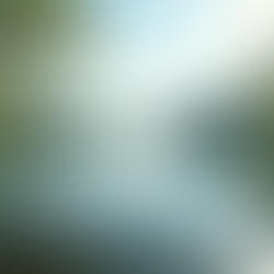 The Power of Mindfulness in Everyday Life