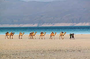 jib_saltcaravanlacassal.jpg;width=816;he