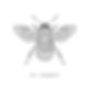 Connecticut Honey | Follow The Food 2019 | All of the things CT