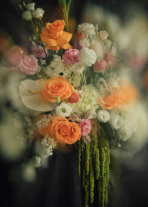 flower photo 3