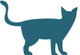 青猫のシルエット