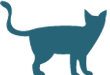 Angus cat rescue