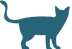 青猫のシルエット