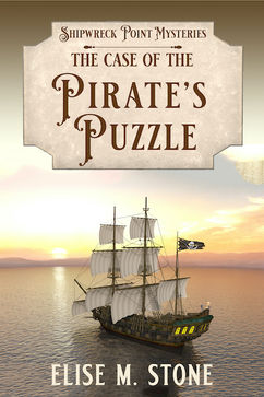 06 The Case of the Pirate's Puzzle 400 x 600.jpeg