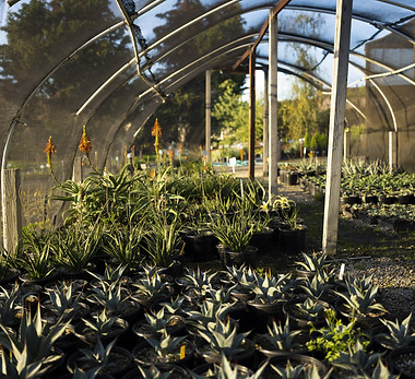 TMHA.GG_ 88482 (2).jpg